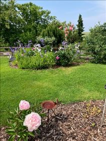 Abbildung: Gartenhelfer gesucht